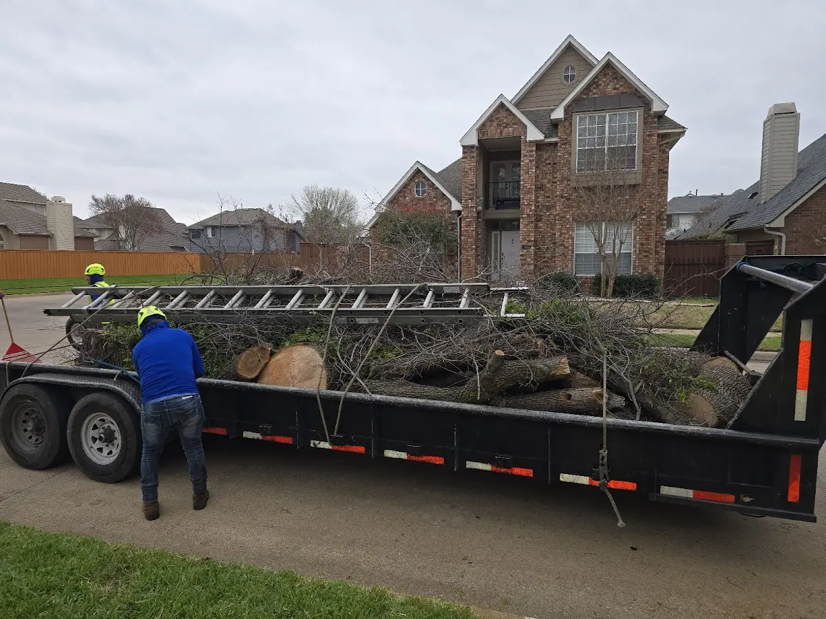 Expert Lot Clearing with proper safety equipment in Purdy